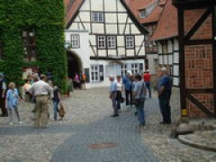 The legendary Finkenherd (finch flock)